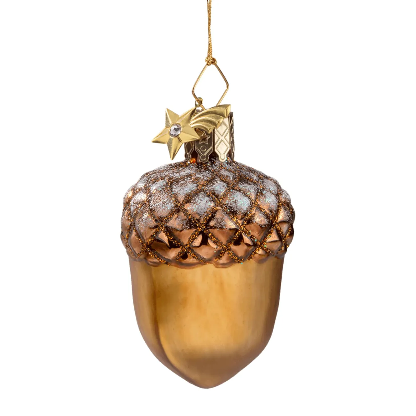 Acorn