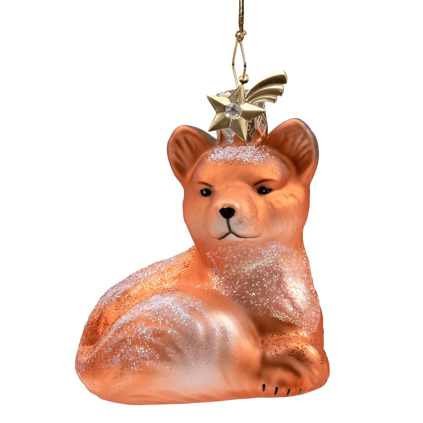 Baby Fox