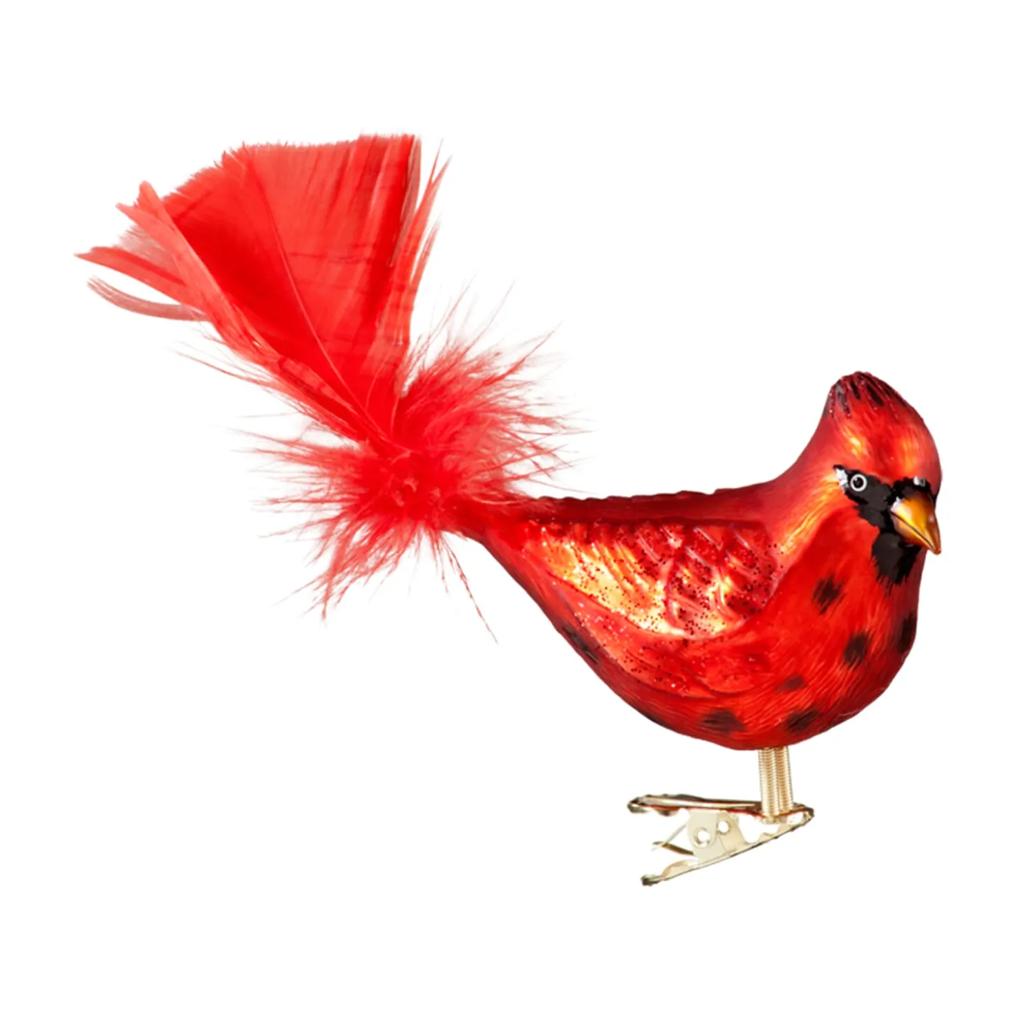Cardinal