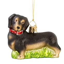Dachshund