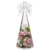 Dreamlight "Frozen Nature" - Angel Medium