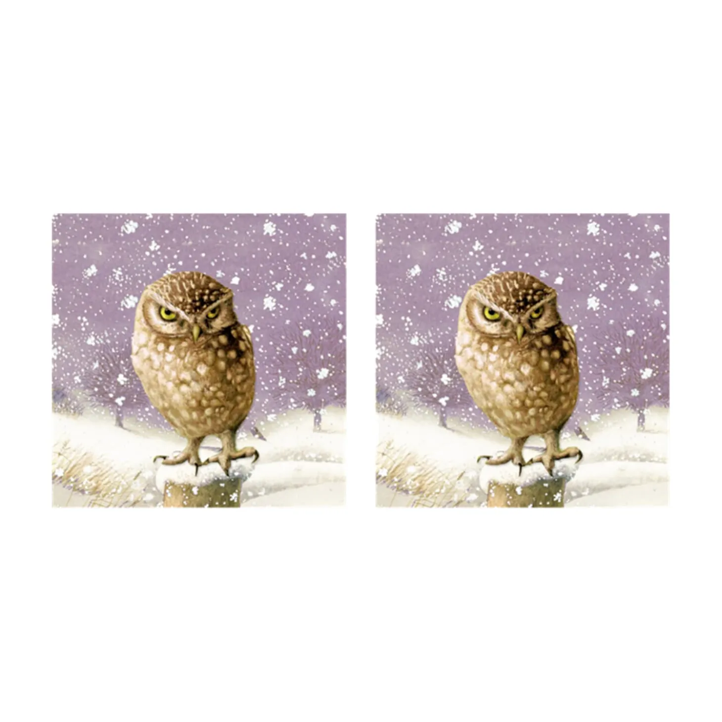 Memo Game "Magical Winter World"