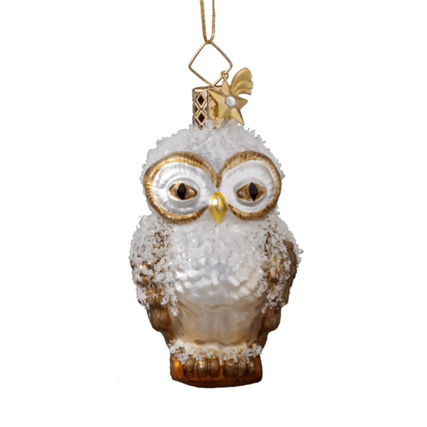 Owl, Brown