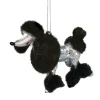 Poodle