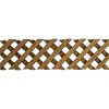 Pyramid Fence, H/L L"/3" (20/77 Mm)
