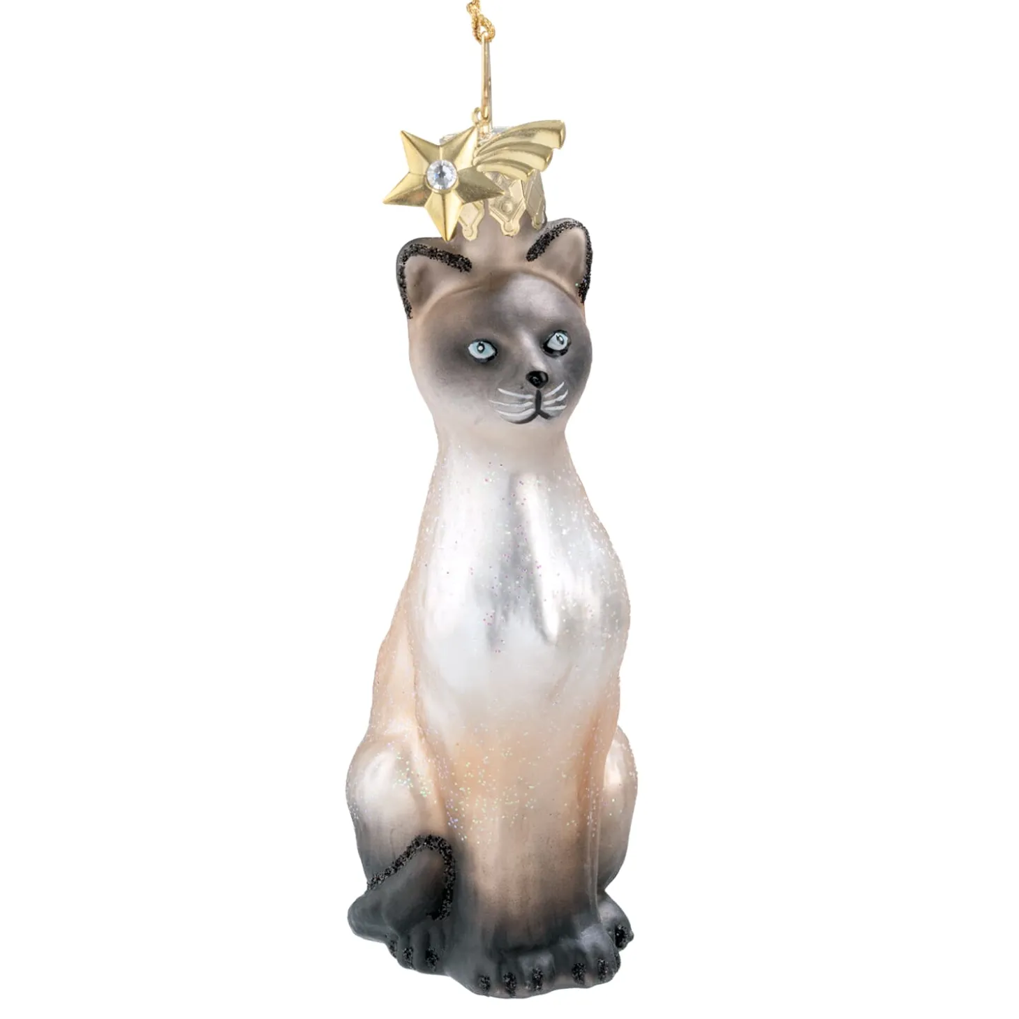 Siamese Cat