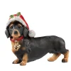 Small Dachshund With Bell