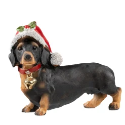 Small Dachshund With Bell