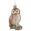 Tawny Owl On Branch