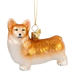 Welsh Corgi